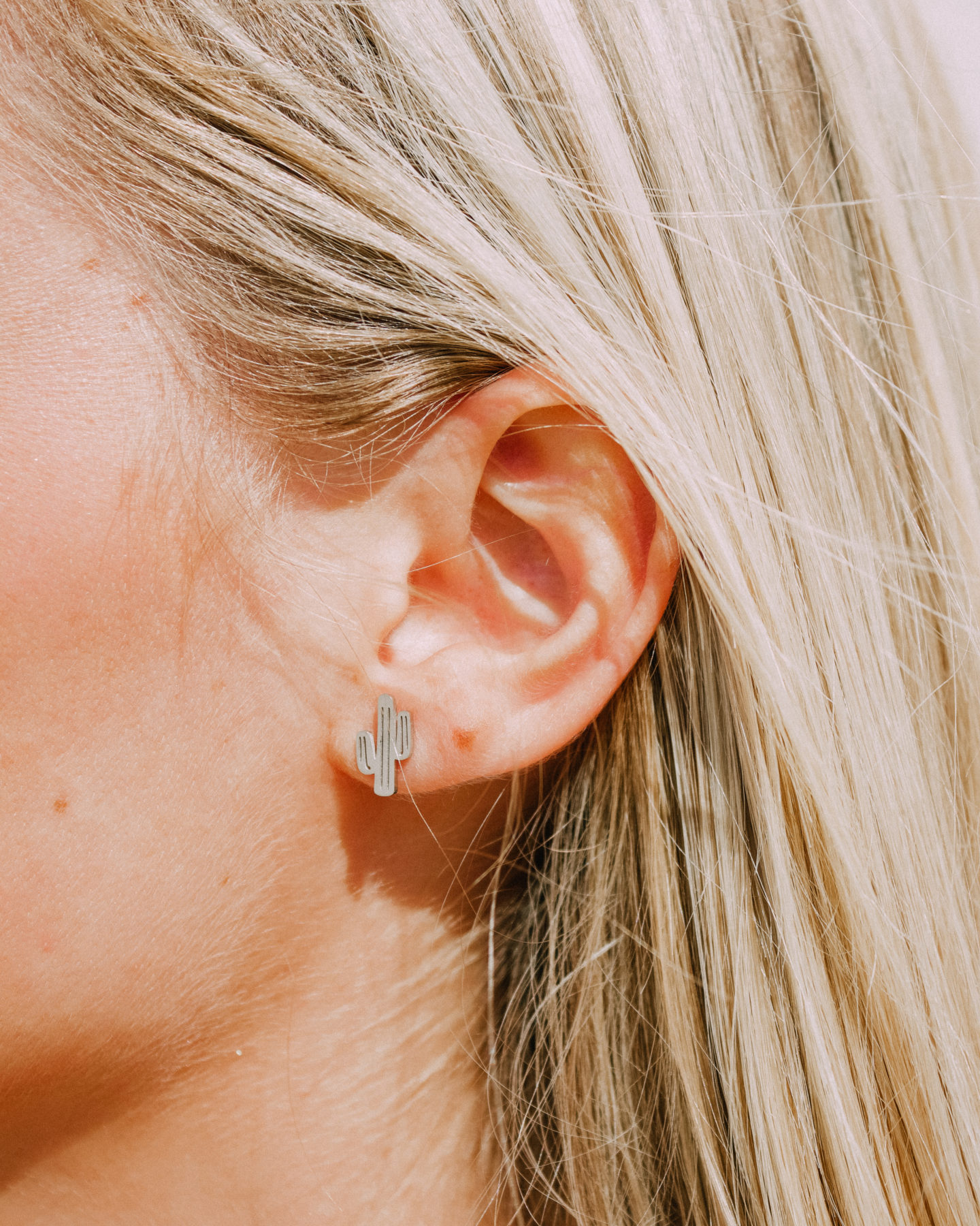 Cactus Earrings